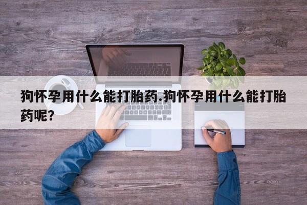 打胎药购买联系方式在线 狗怀孕用什么能打胎药.狗怀孕用什么能打胎药呢？