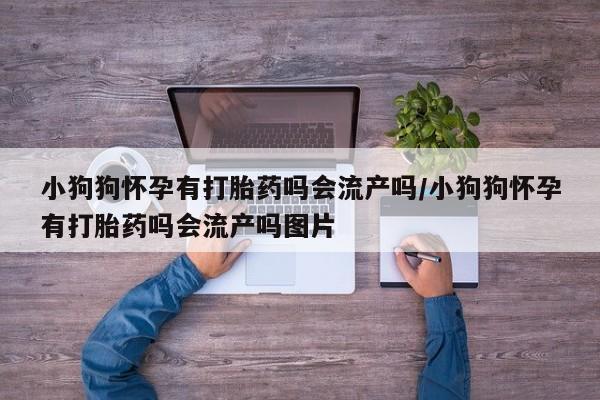 打胎药购买联系方式在线 小狗狗怀孕有打胎药吗会流产吗/小狗狗怀孕有打胎药吗会流产吗图片