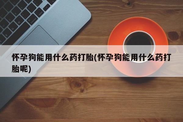 打胎药购买联系方式在线 怀孕狗能用什么药打胎(怀孕狗能用什么药打胎呢)