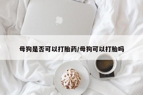 打胎药购买联系方式在线 母狗是否可以打胎药/母狗可以打胎吗