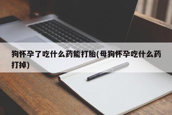 打胎药购买联系方式在线 狗怀孕了吃什么药能打胎(母狗怀孕吃什么药打掉)